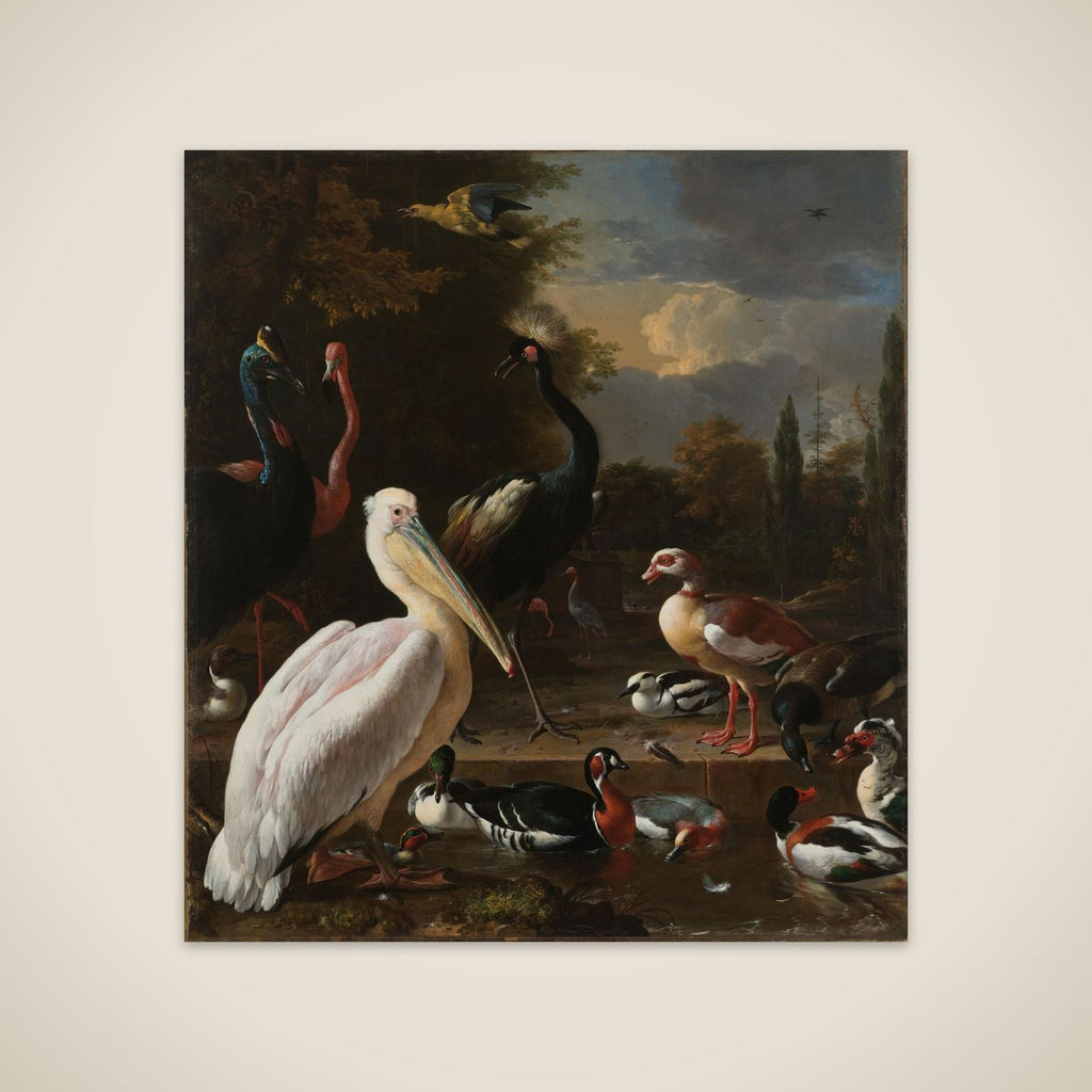 A Pelican and other Birds near a Pool, known as 'The Floating Feather' unframed print
