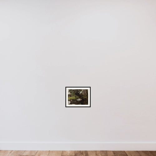 Boat with a Pollard Willow framed — shown to scale
