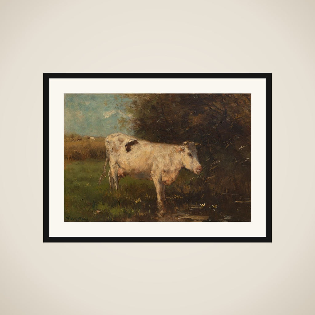 White Cow framed