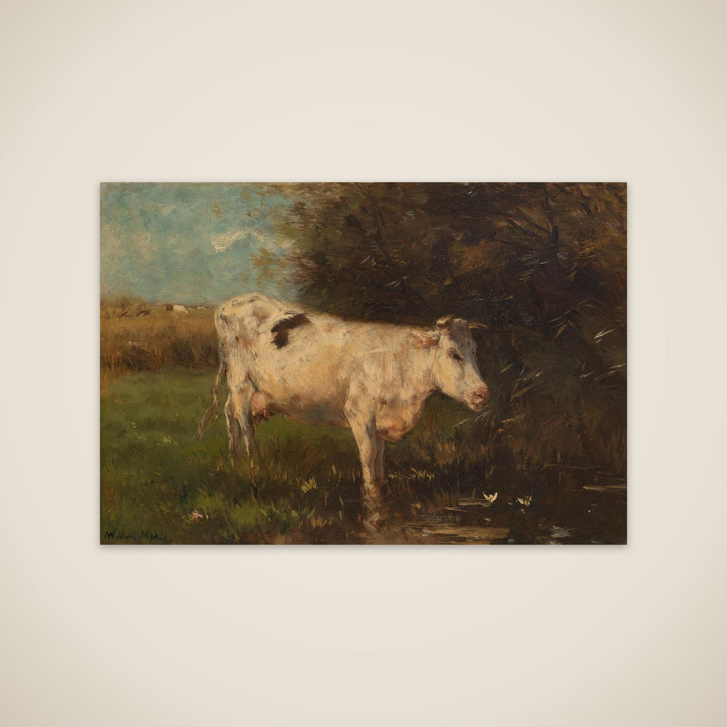 White Cow unframed print