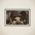 Goat Lying Down framed