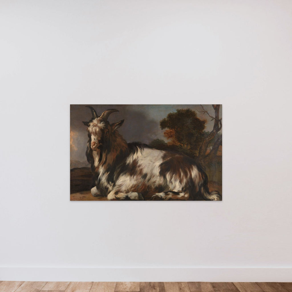 Goat Lying Down unframed — shown to scale