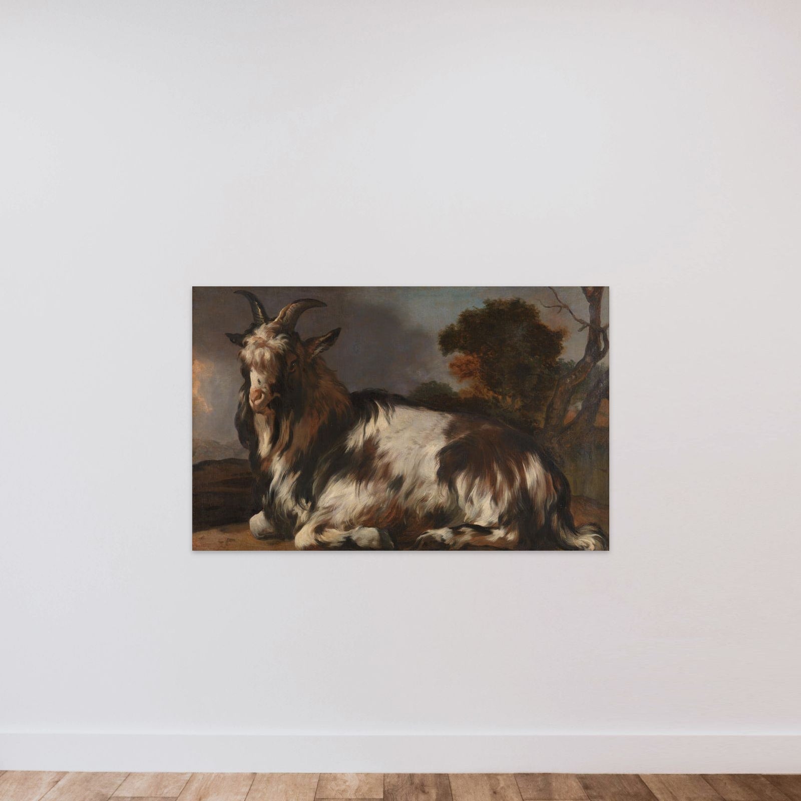 Goat Lying Down unframed — shown to scale