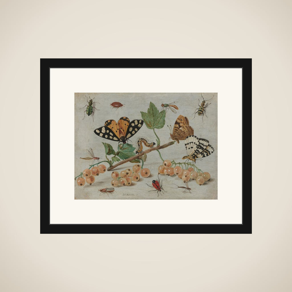 Sprig of White Currants with Insects framed