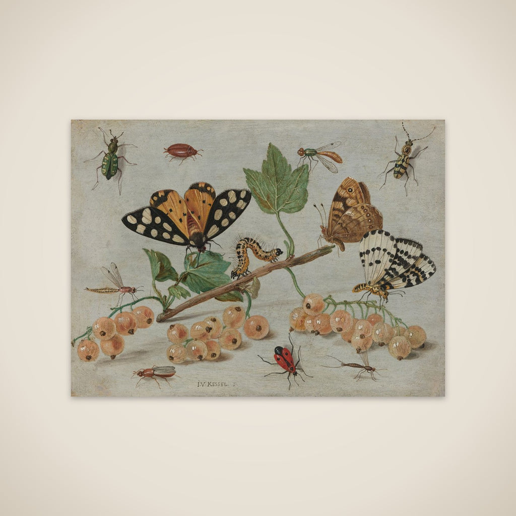 Sprig of White Currants with Insects unframed print