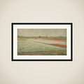 Tulip Fields framed