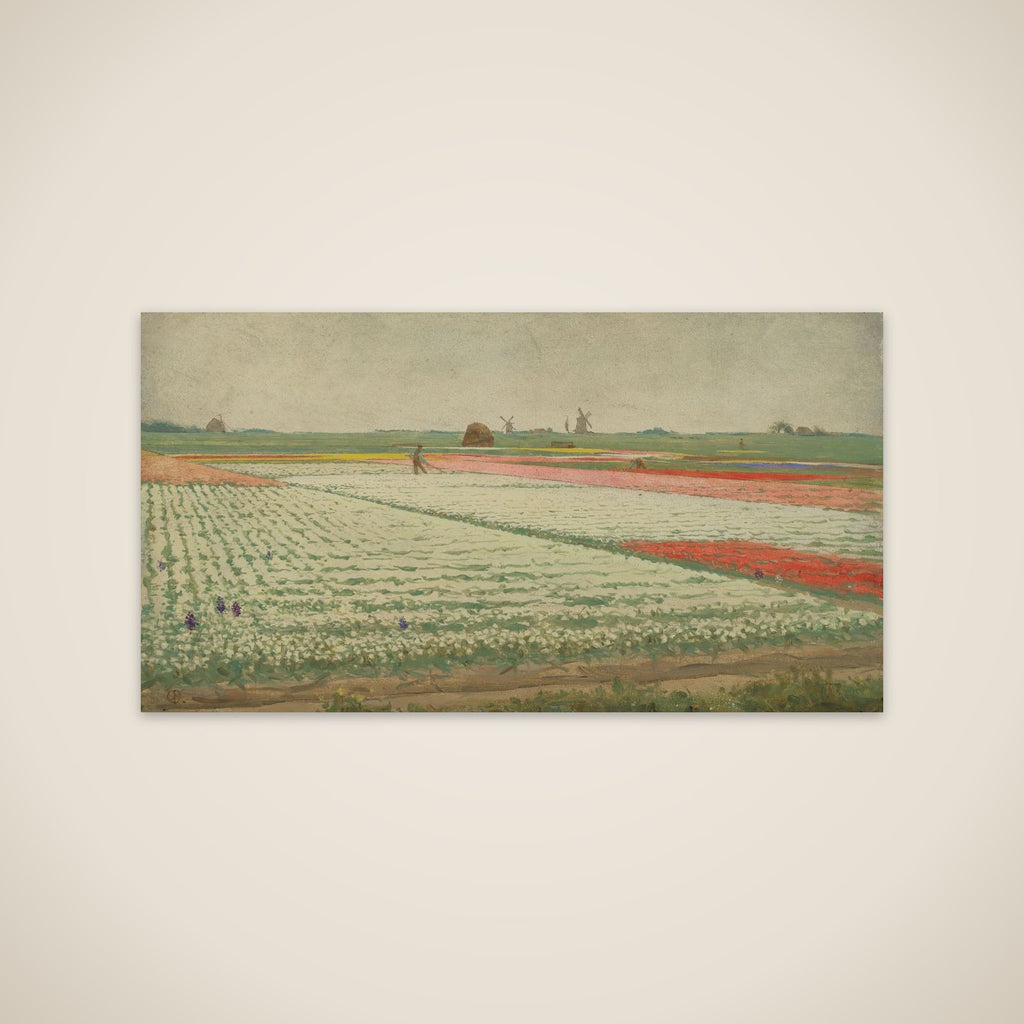 Tulip Fields unframed print
