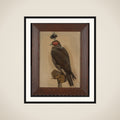 Portrait of de giervalk Zoë framed