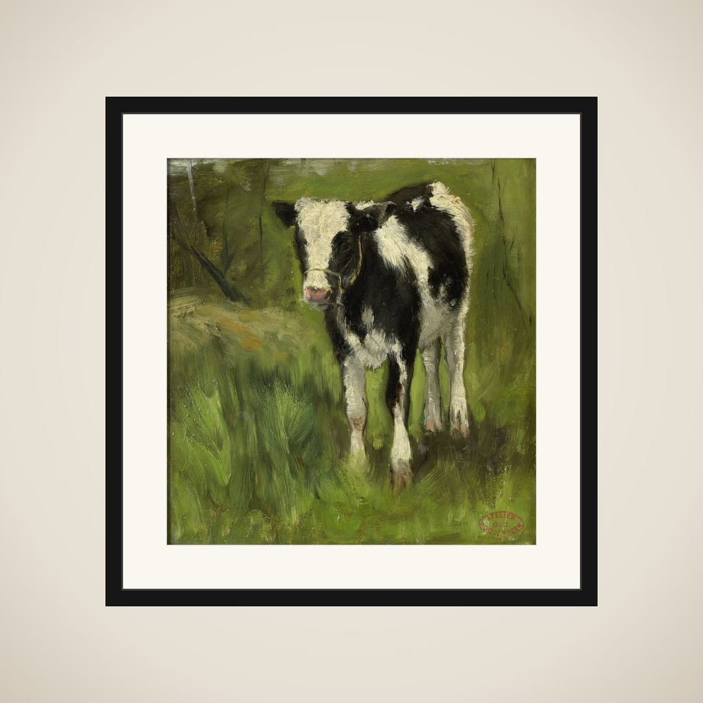 Calf, spotted black and white framed
