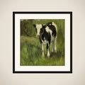 Calf, spotted black and white framed