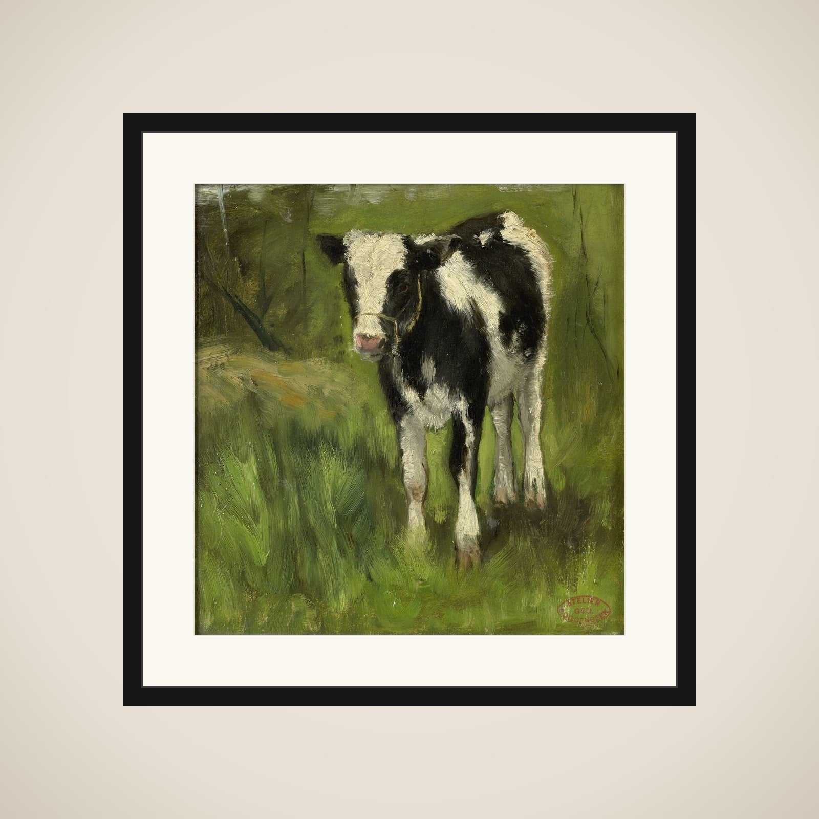 Calf, spotted black and white framed