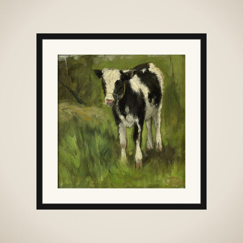 Calf, spotted black and white framed