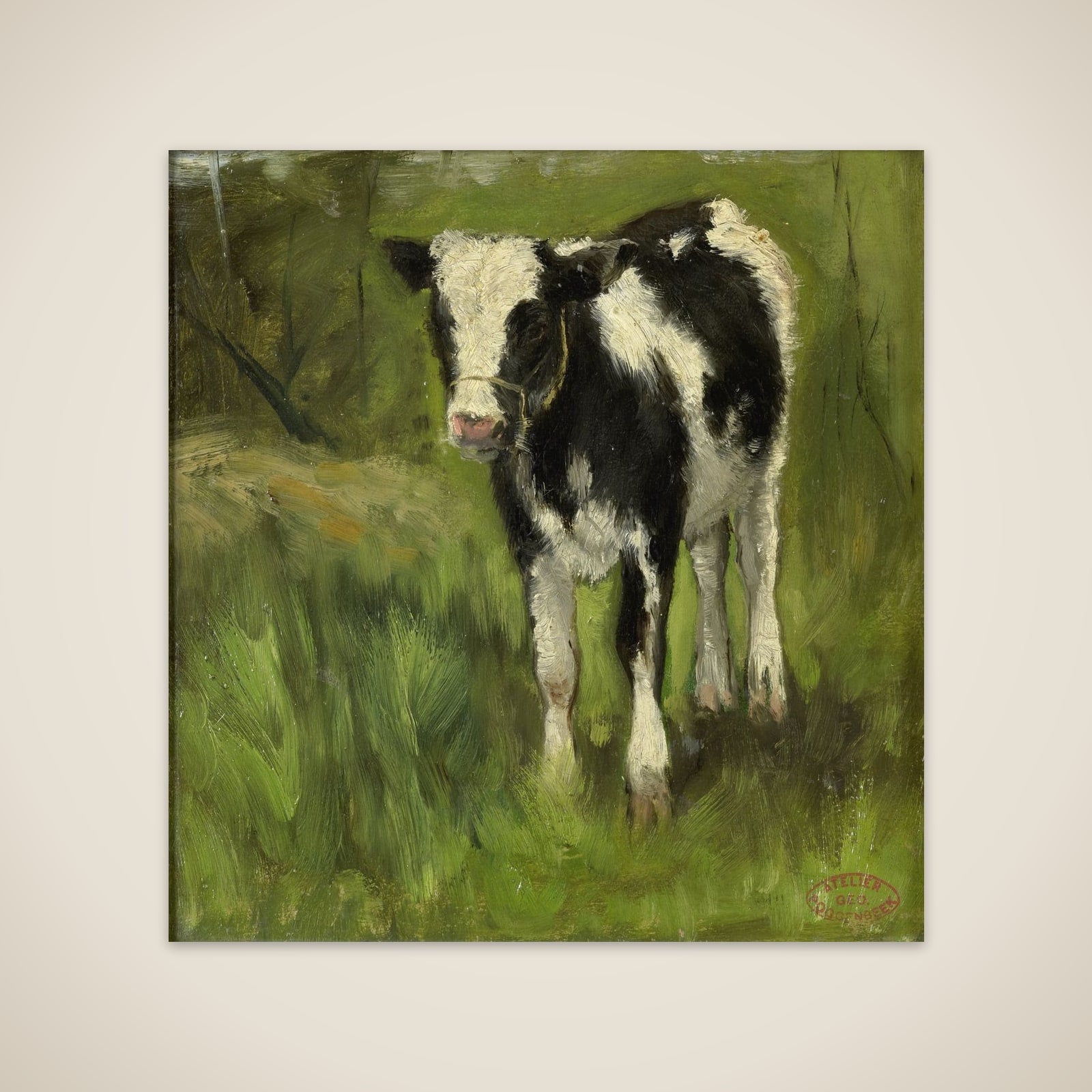 Calf, spotted black and white unframed print