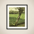 The Willow framed