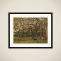 Blossoming Tree in an Orchard framed