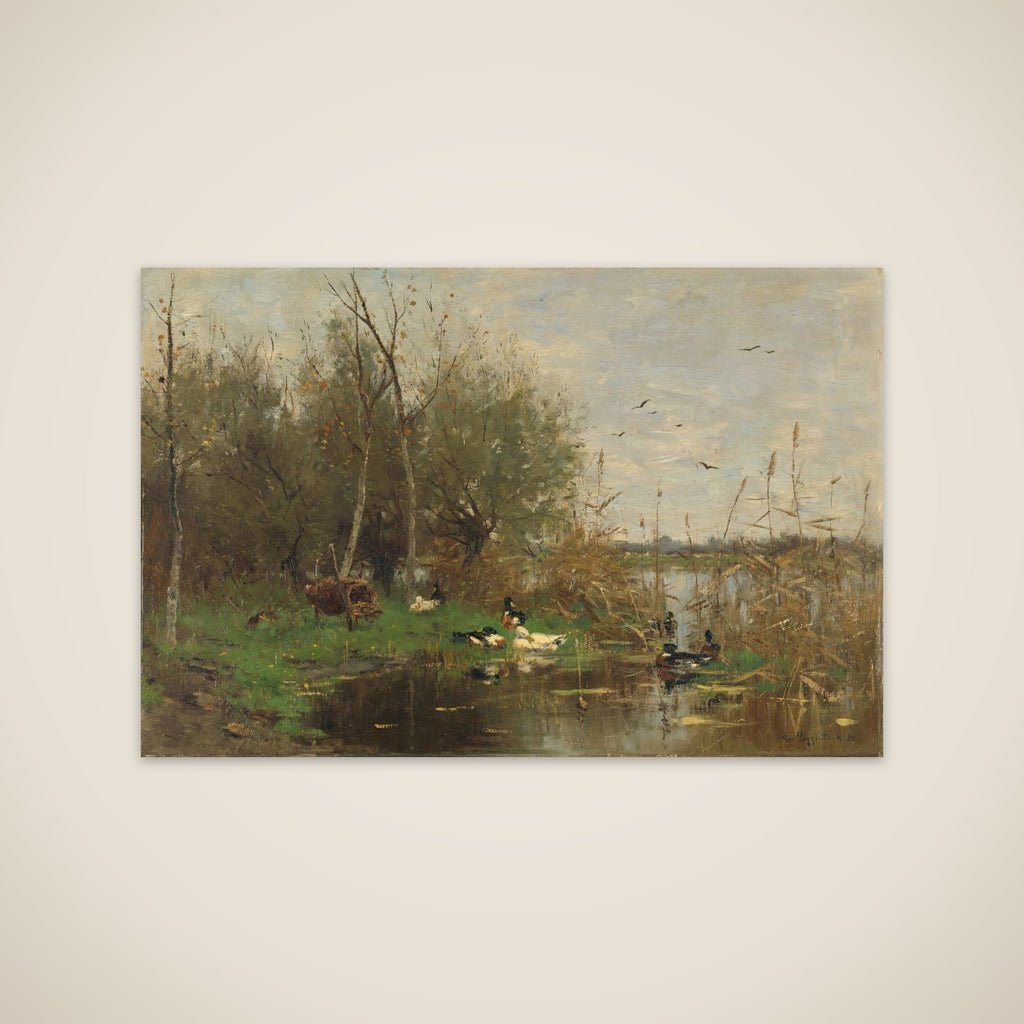 Ducks beside a duck shelter on a ditch unframed print