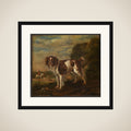 A spaniel framed