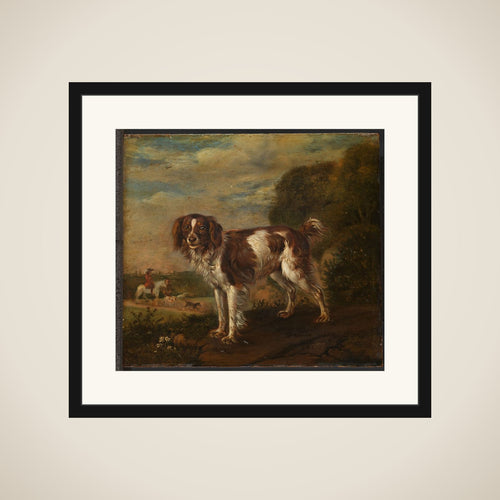 A spaniel framed