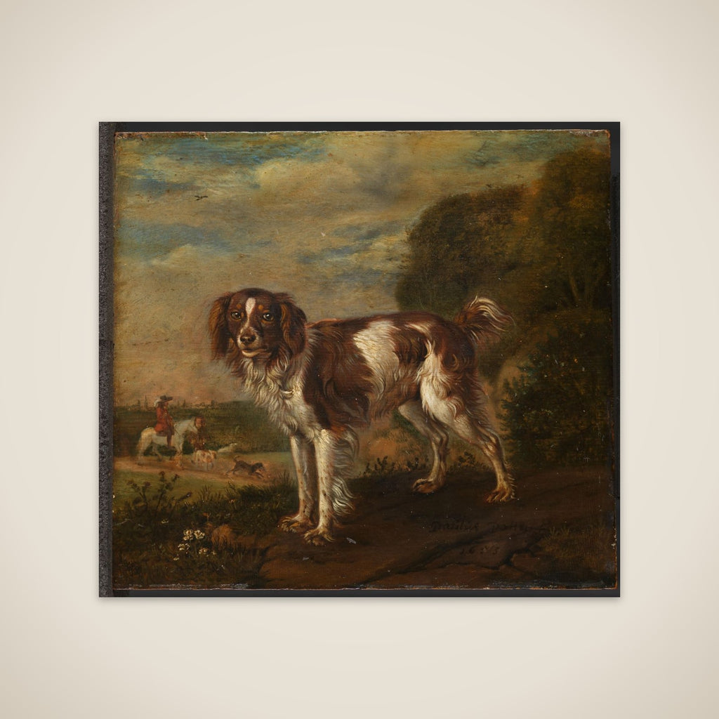 A spaniel unframed print