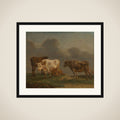 Four Young Bulls in a Meadow framed