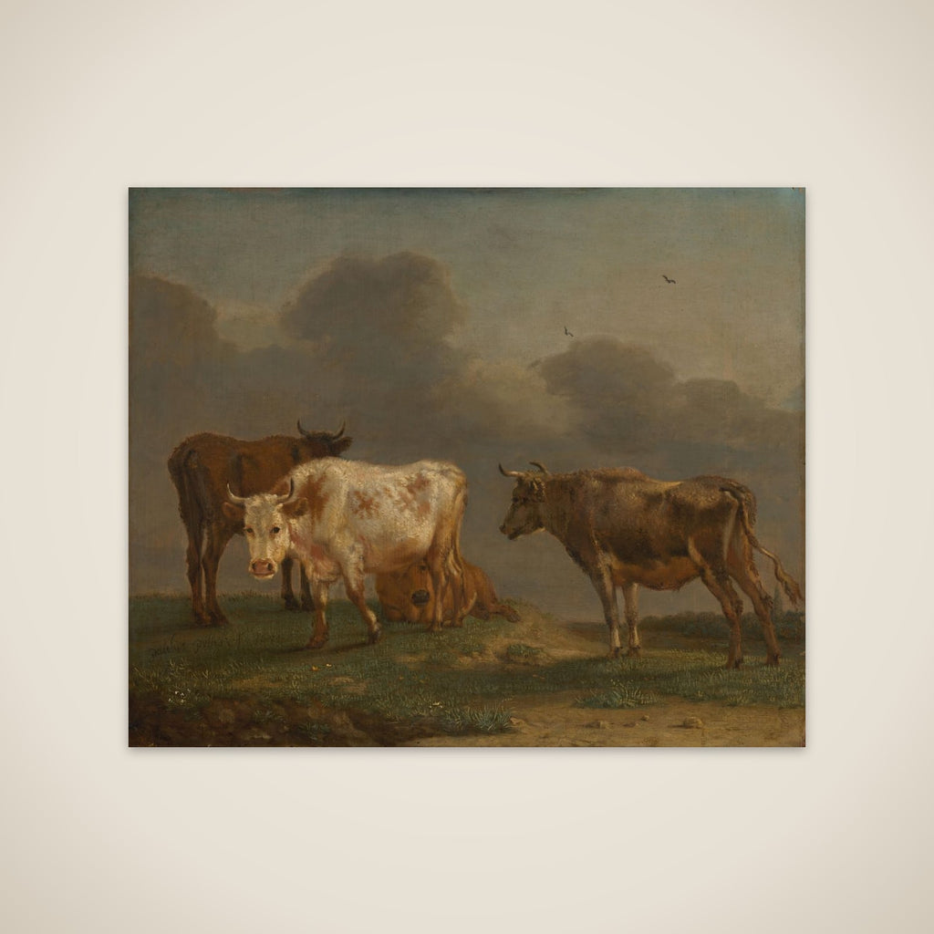 Four Young Bulls in a Meadow unframed print