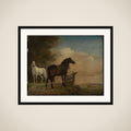 Two Horses in a Meadow near a Gate framed