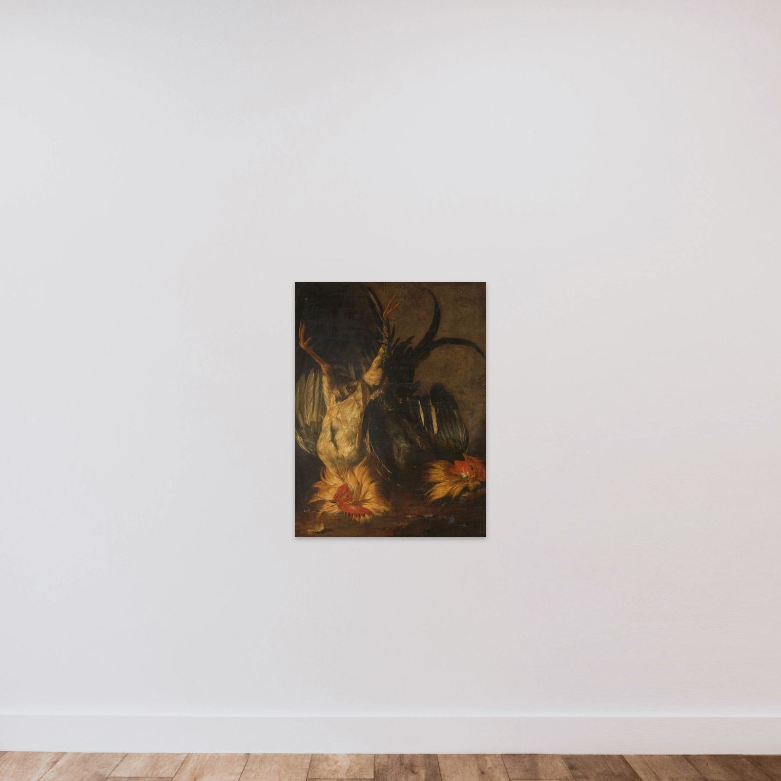 Dead roosters unframed — shown to scale