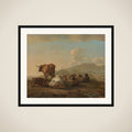 Resting herd framed