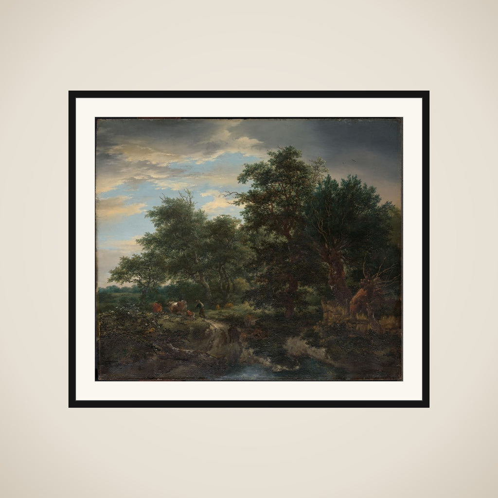 Forest scene framed