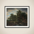 Forest scene framed