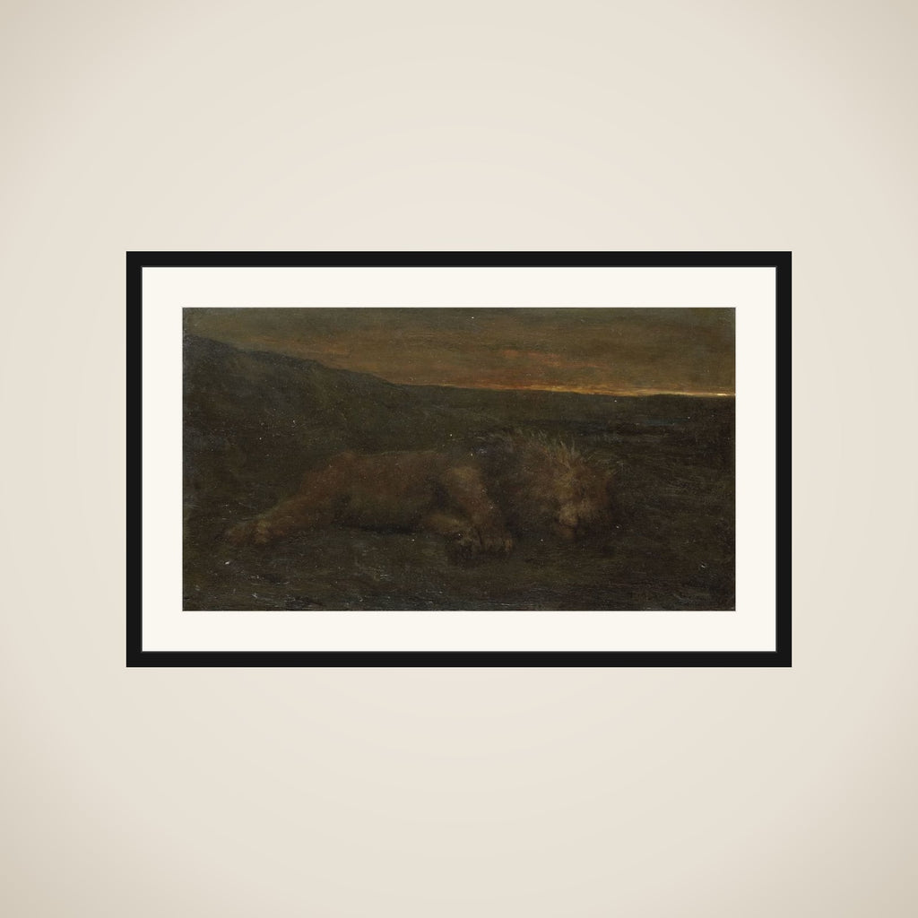 Sleeping Lion by Night framed