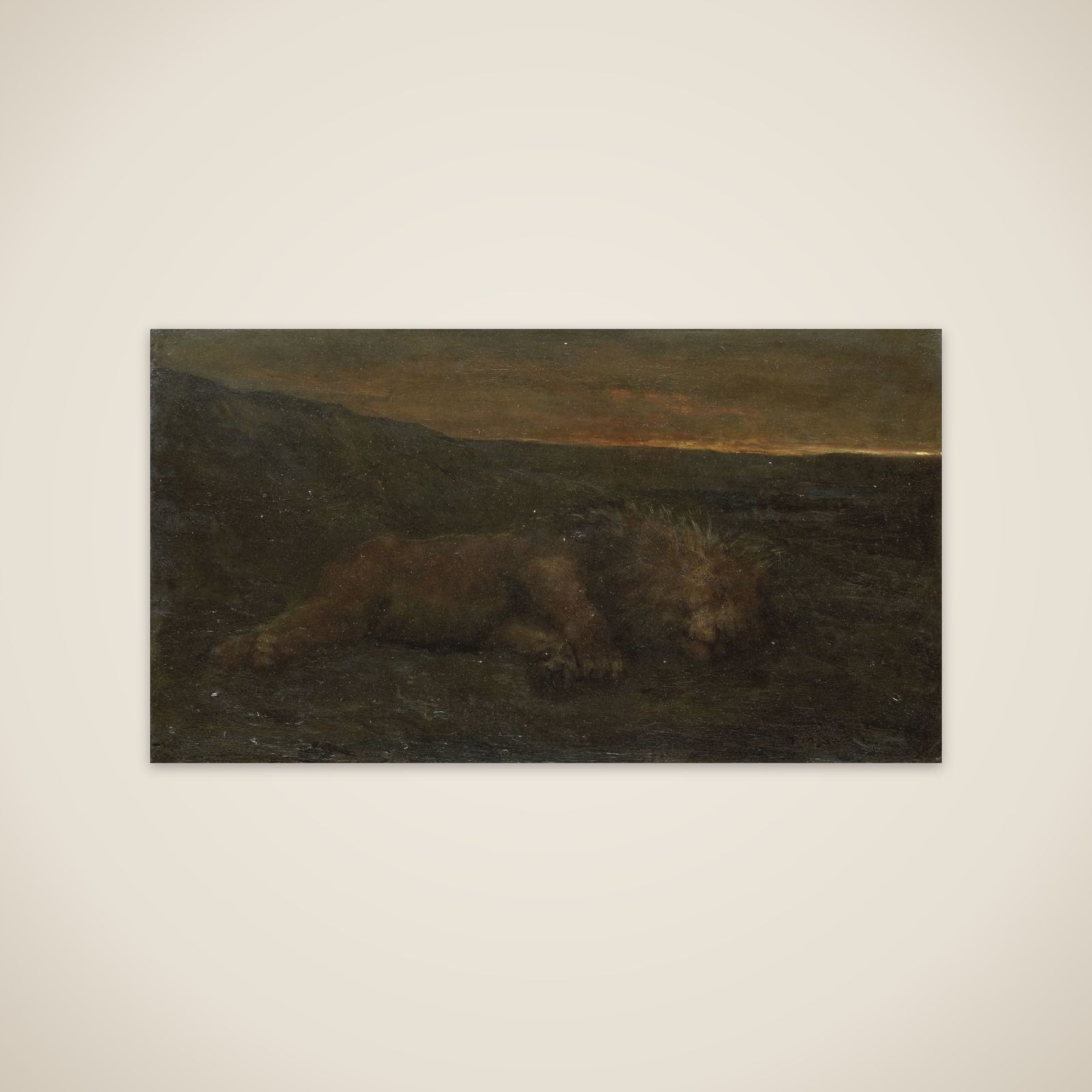 Sleeping Lion by Night unframed print