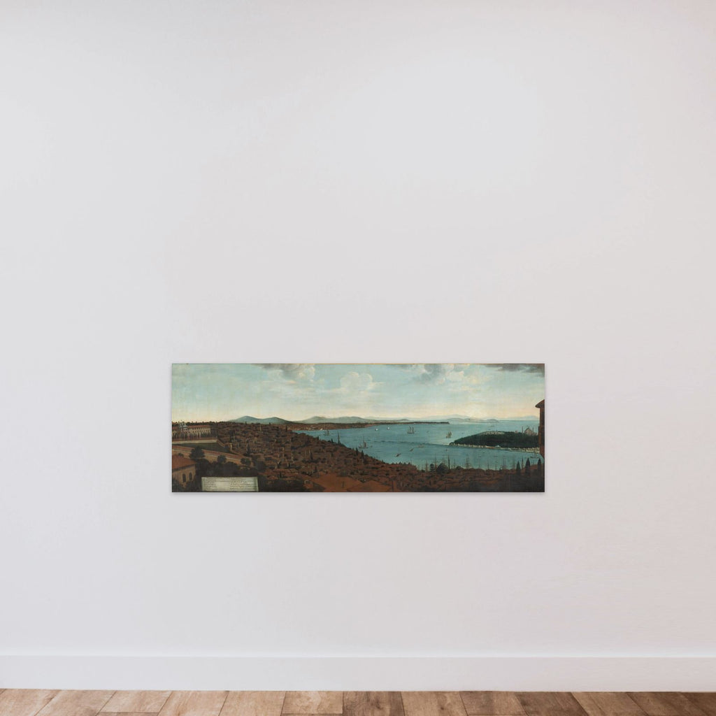 View of Constantinopel en het Serail vanuit de Hollandse ambassade unframed — shown to scale