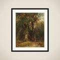 View in the Woods framed