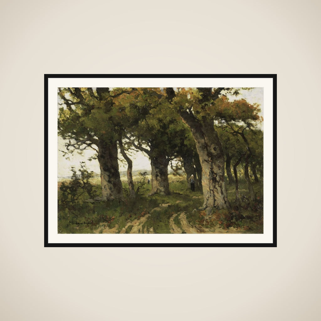 Avenue of Oaks in Late Summer framed
