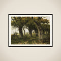 Avenue of Oaks in Late Summer framed