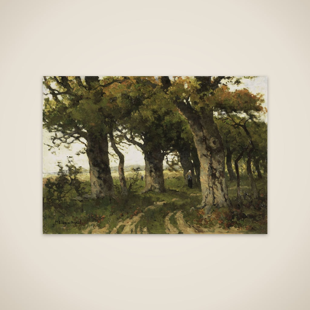 Avenue of Oaks in Late Summer unframed print