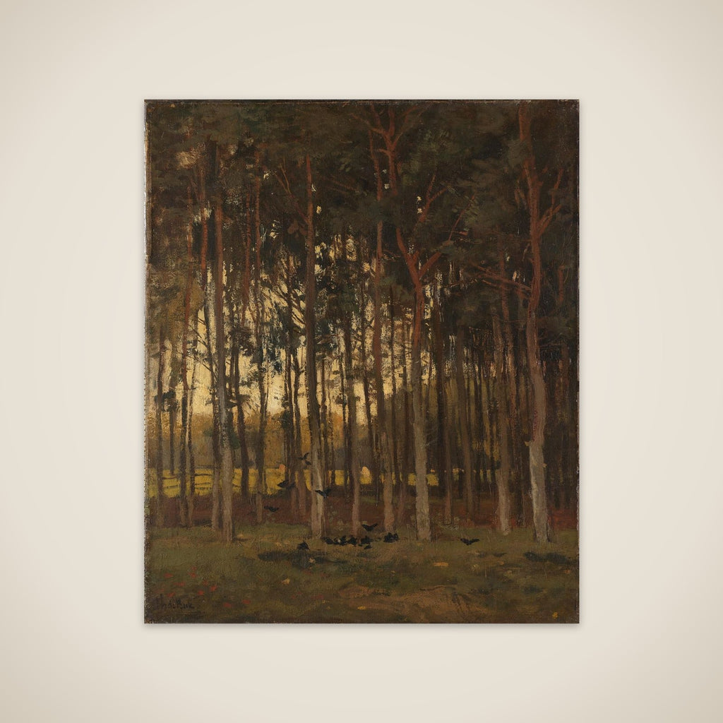 View in the Woods unframed print