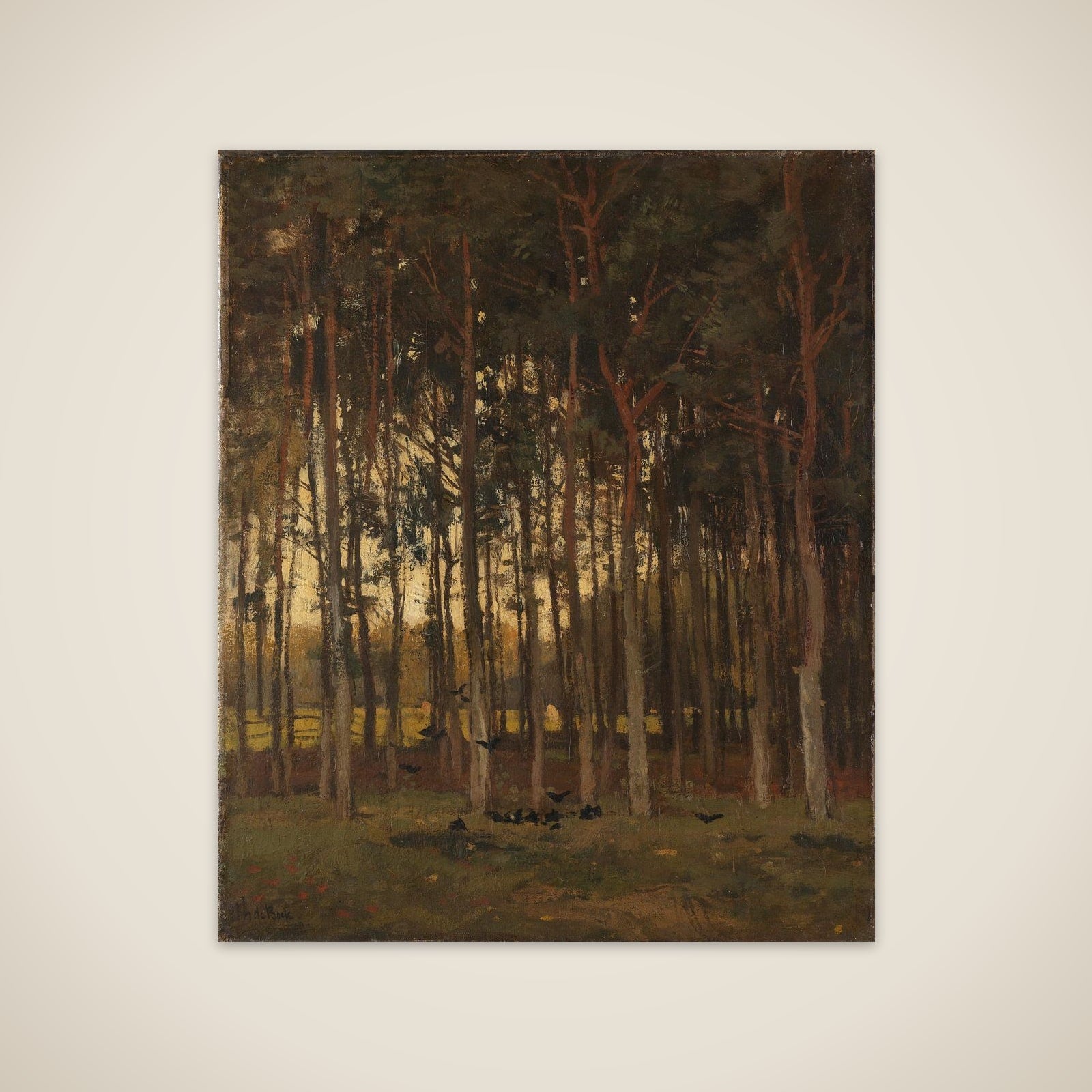View in the Woods unframed print