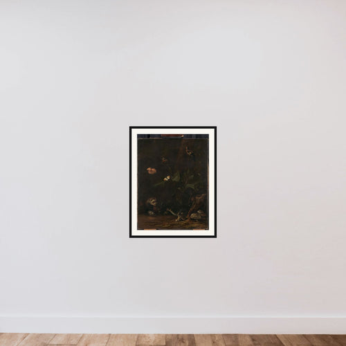 Animals and Plants framed — shown to scale