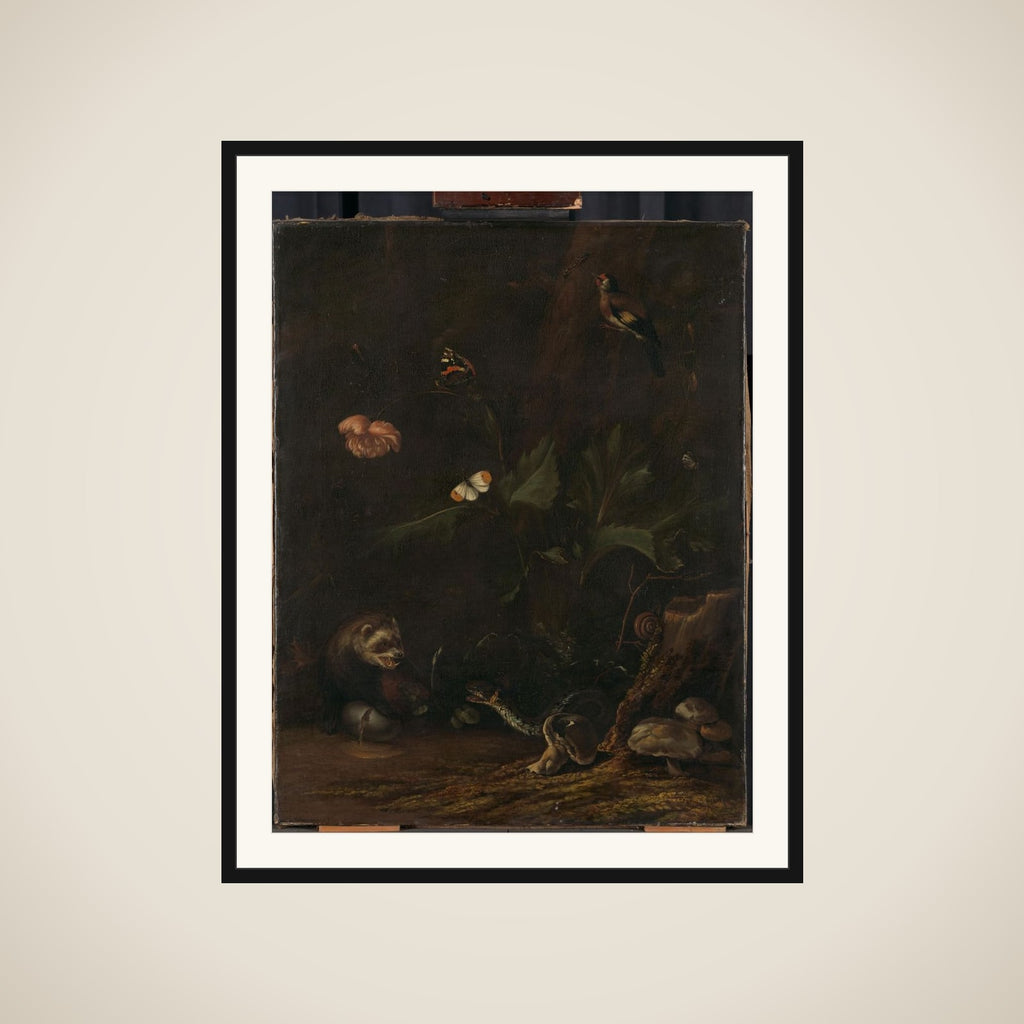 Animals and Plants framed