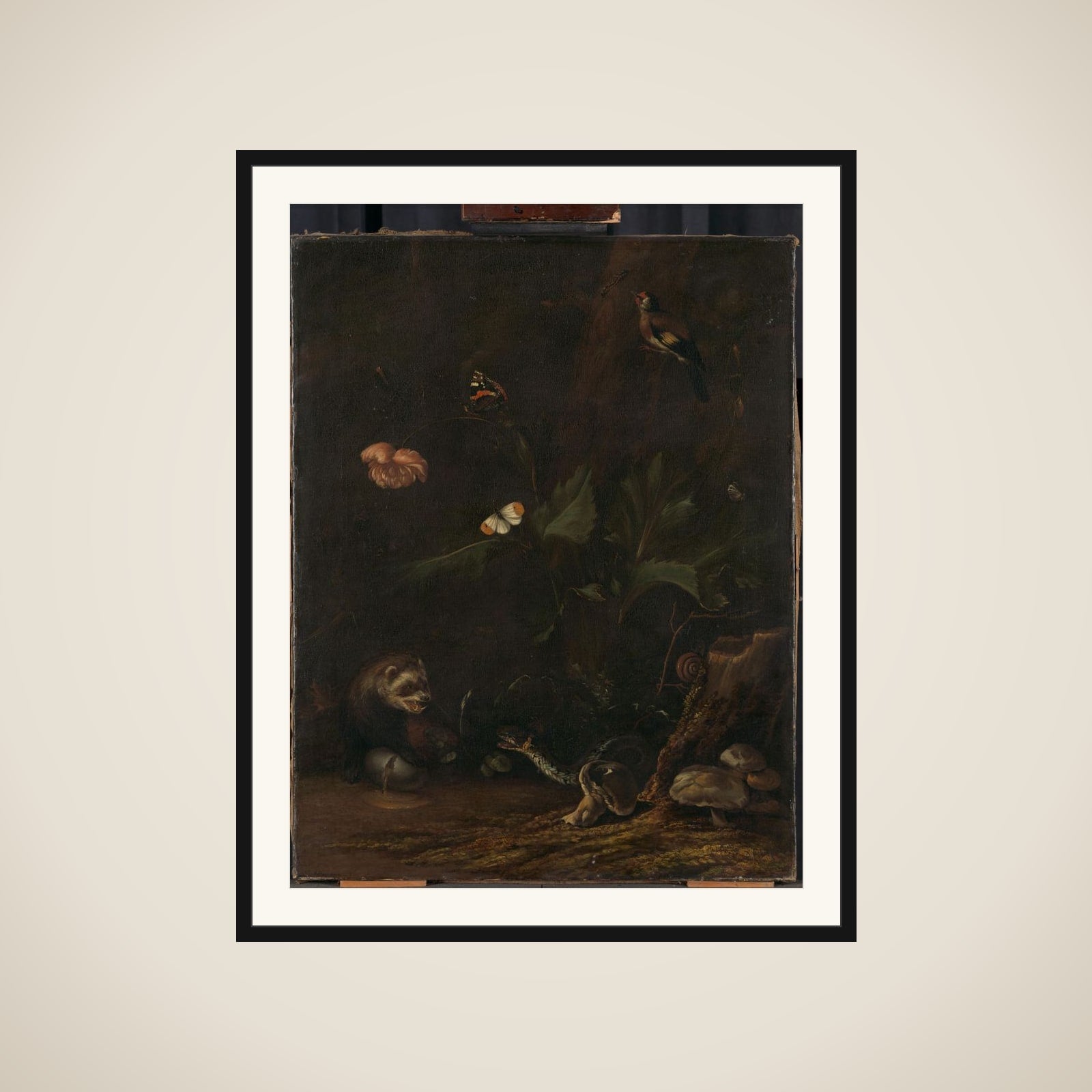 Animals and Plants framed