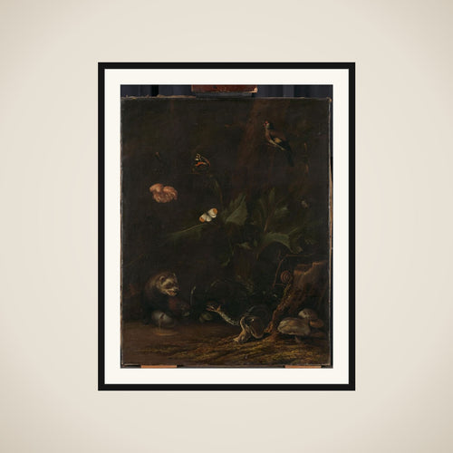Animals and Plants framed