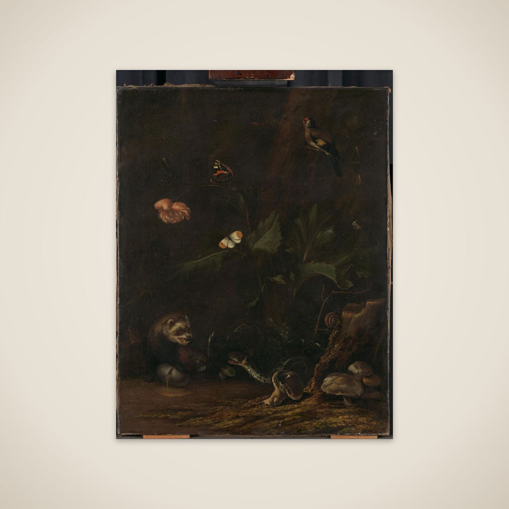 Animals and Plants unframed print