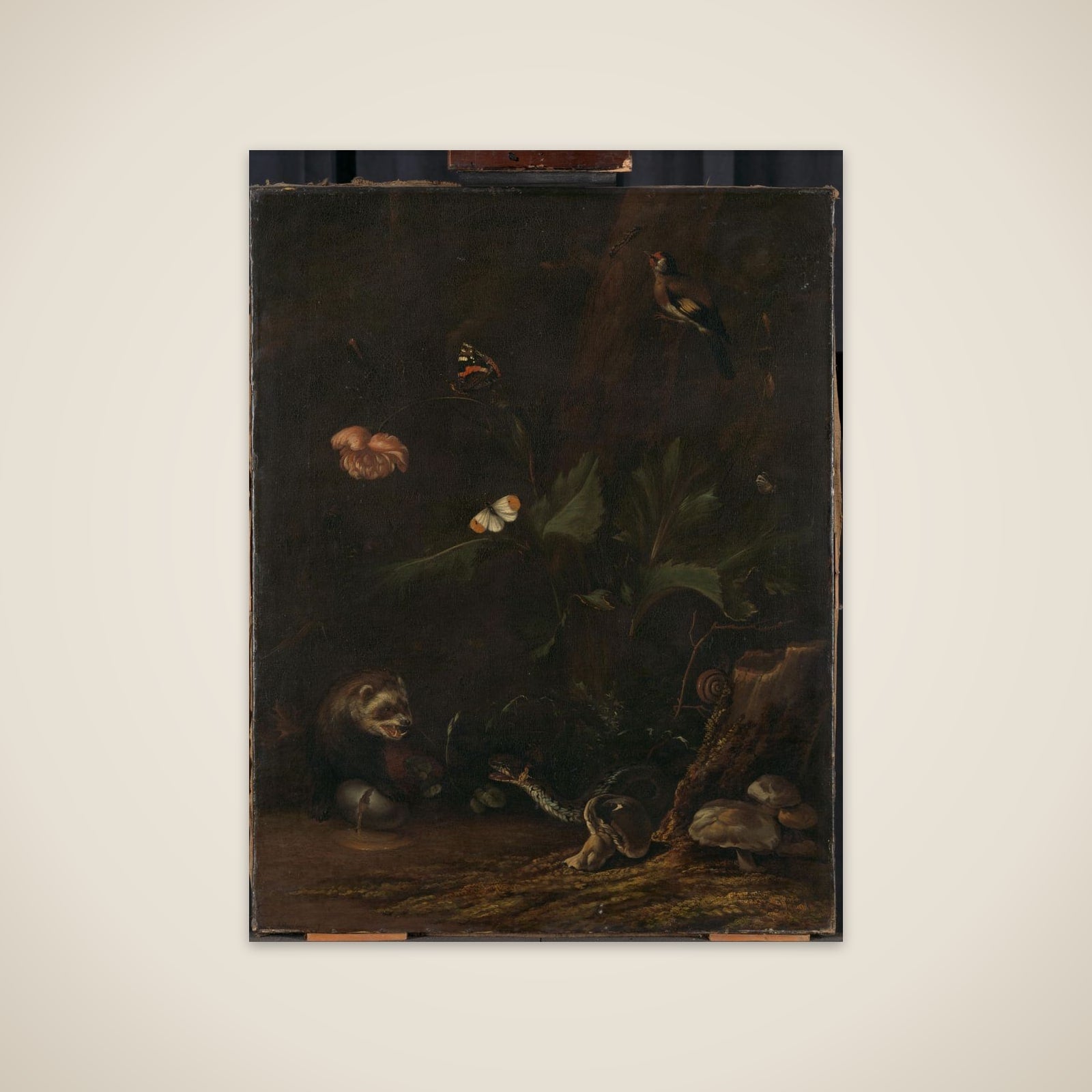 Animals and Plants unframed print