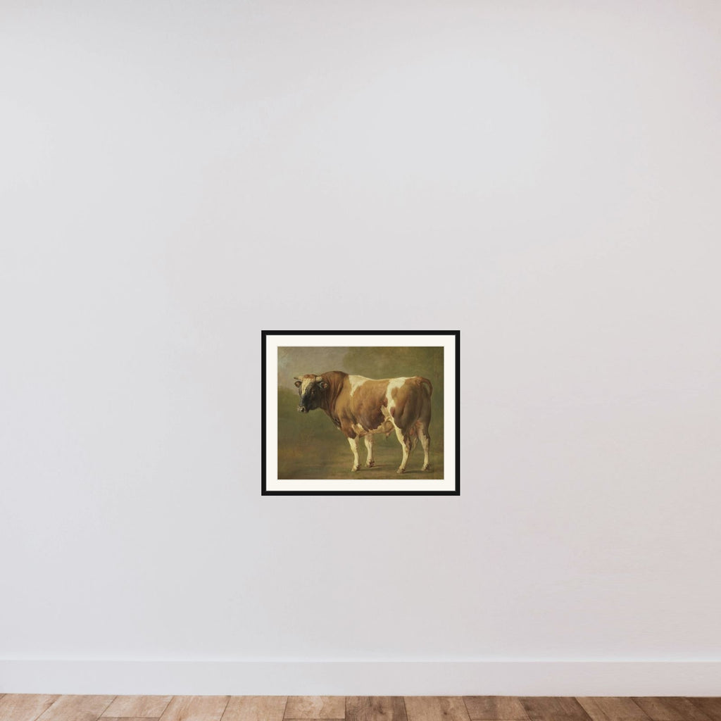 Study of a Bull framed — shown to scale