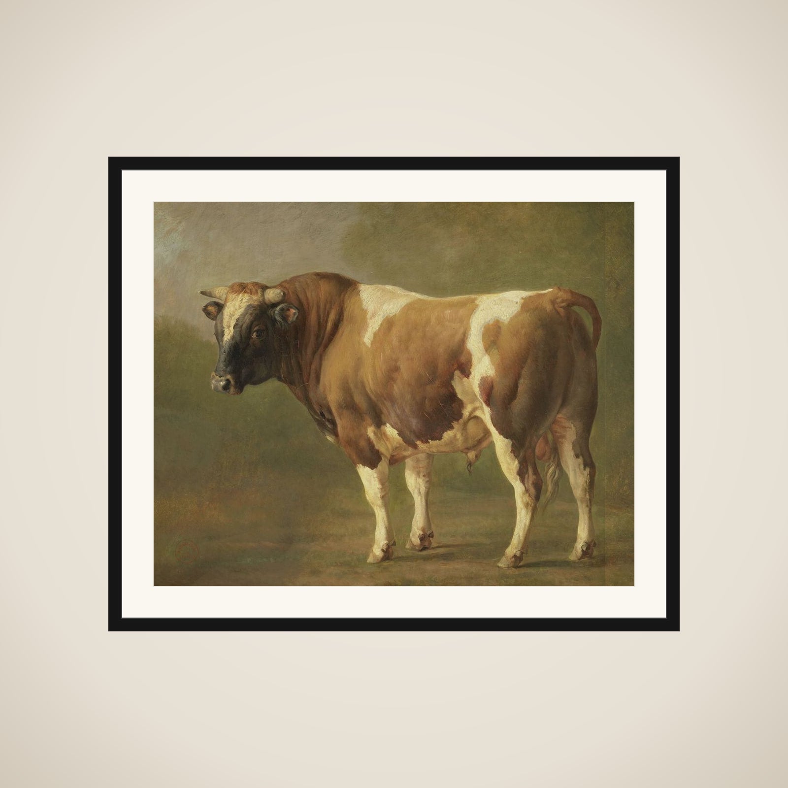 Study of a Bull framed