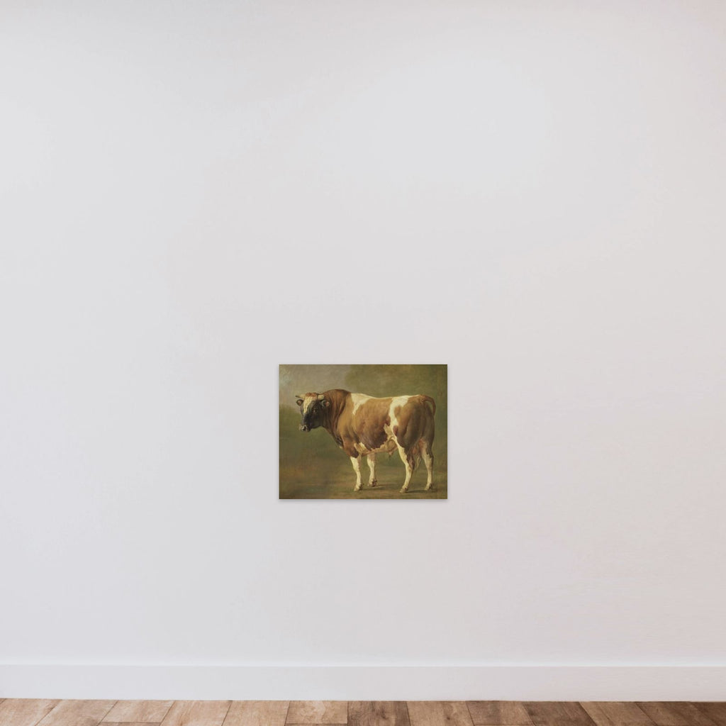 Study of a Bull unframed — shown to scale