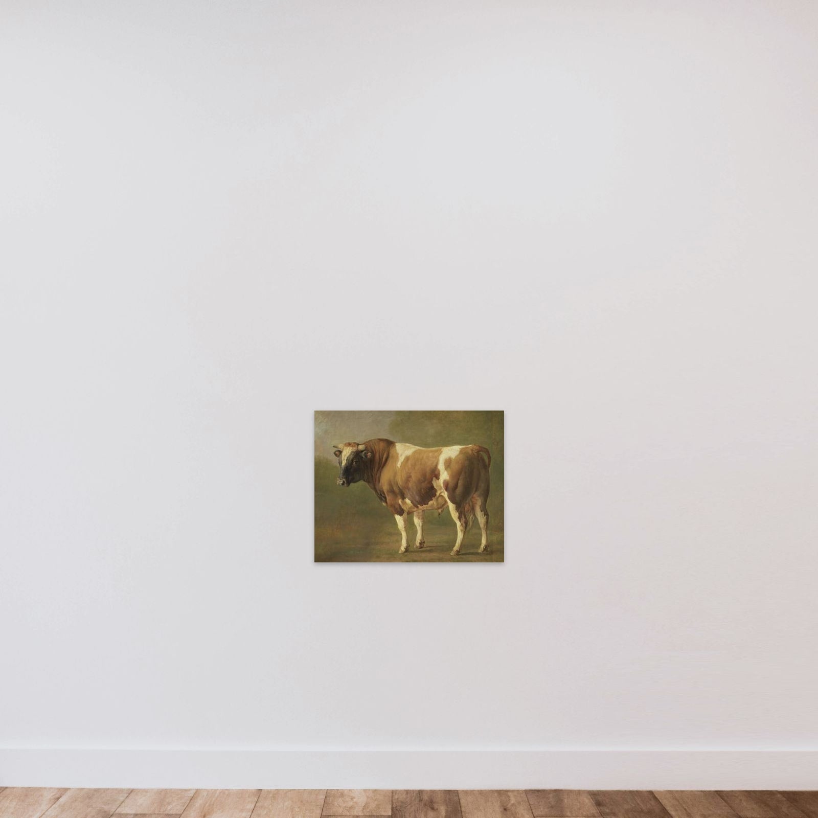 Study of a Bull unframed — shown to scale