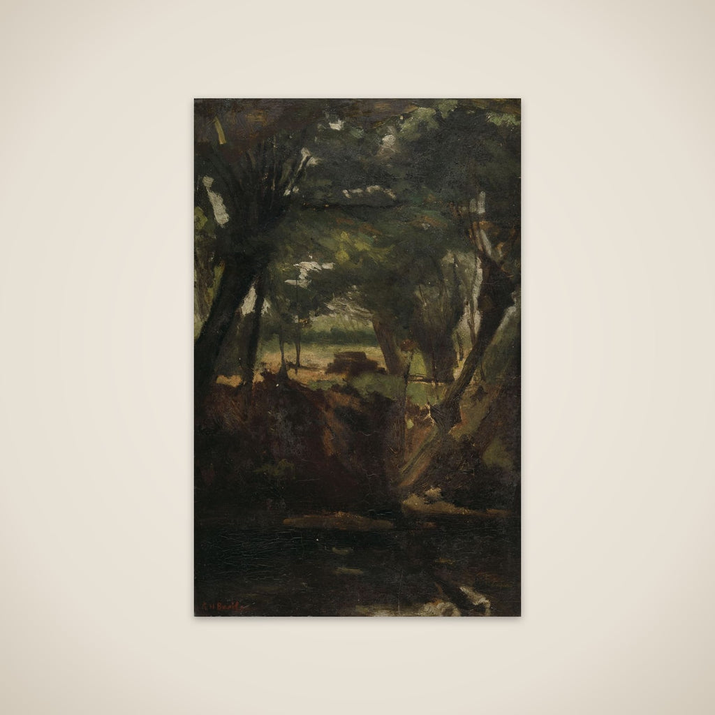 View in the Woods unframed print